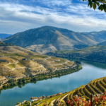 Výhled na vinice v Douro